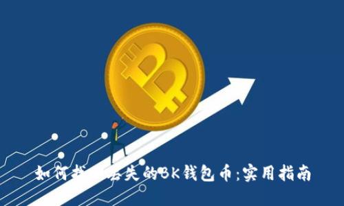 如何找回丢失的BK钱包币：实用指南