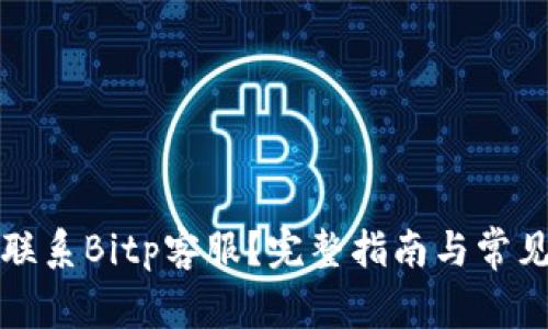 如何高效联系Bitp客服？完整指南与常见问题解答