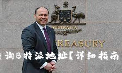 如何查询B特派地址？详细指南与技巧